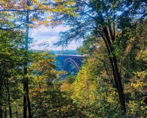 Heather-bio-pictures-2