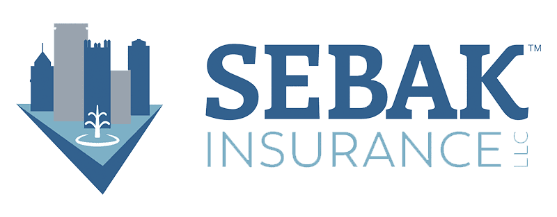 Sebak Insurance LLC - Logo 800